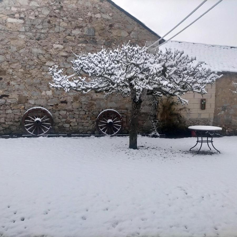 Turismo En Babia Bajo Los Nidos San Emiliano Exteriör bild